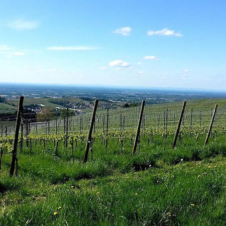 Ferienhof Vordere Alm Oberkirch  Exteriör bild