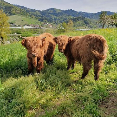 Ferienhof Vordere Alm Oberkirch  Exteriör bild