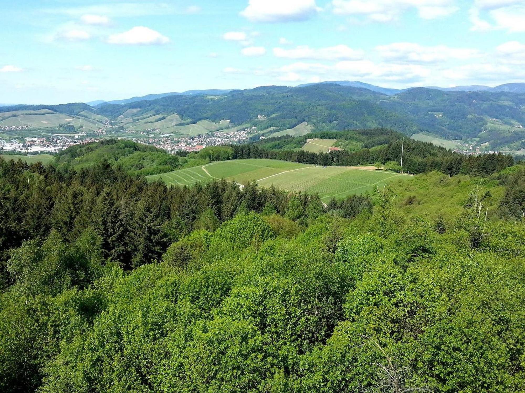 Ferienhof Vordere Alm Oberkirch  Exteriör bild