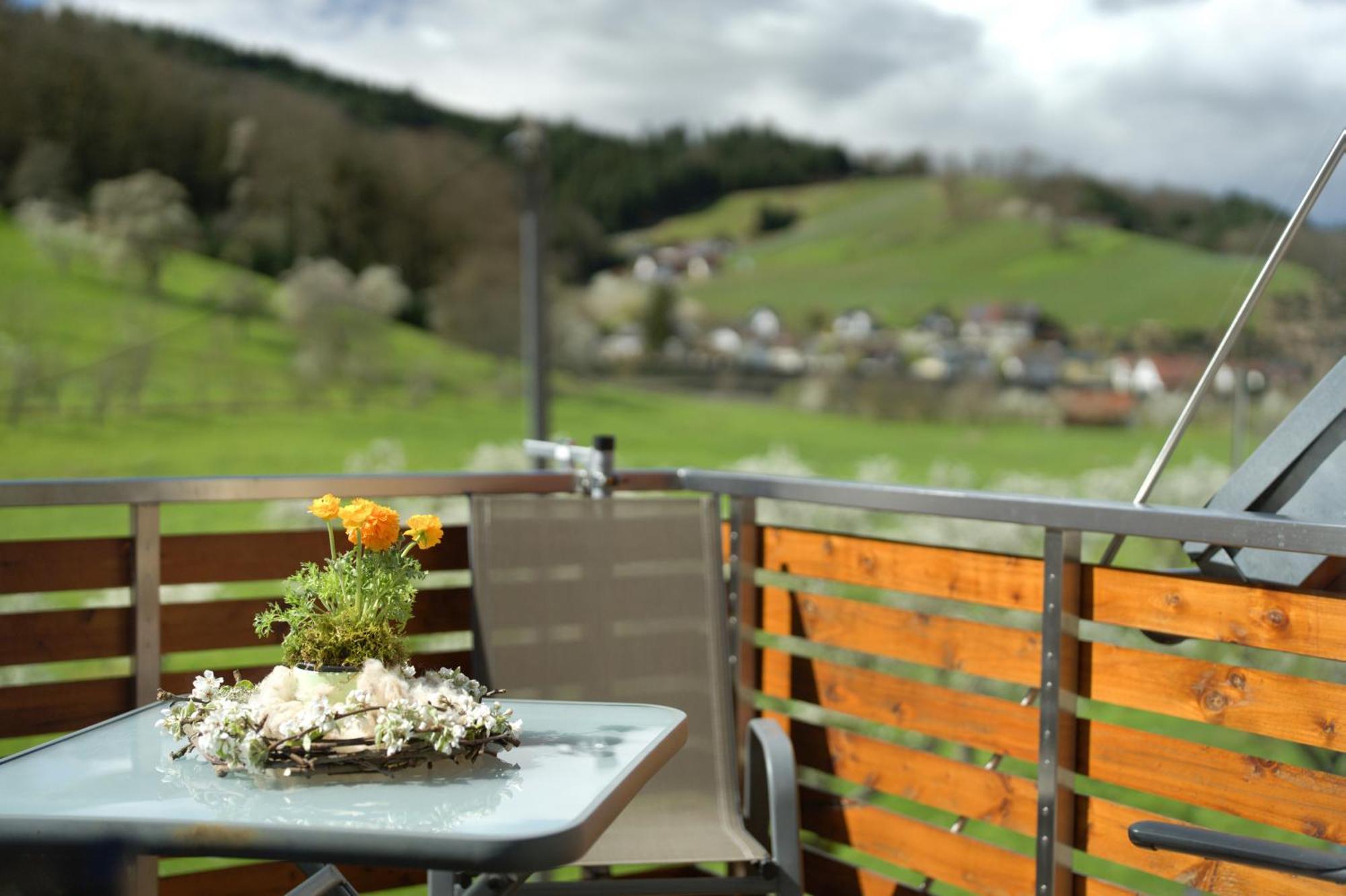 Ferienhof Vordere Alm Oberkirch  Exteriör bild