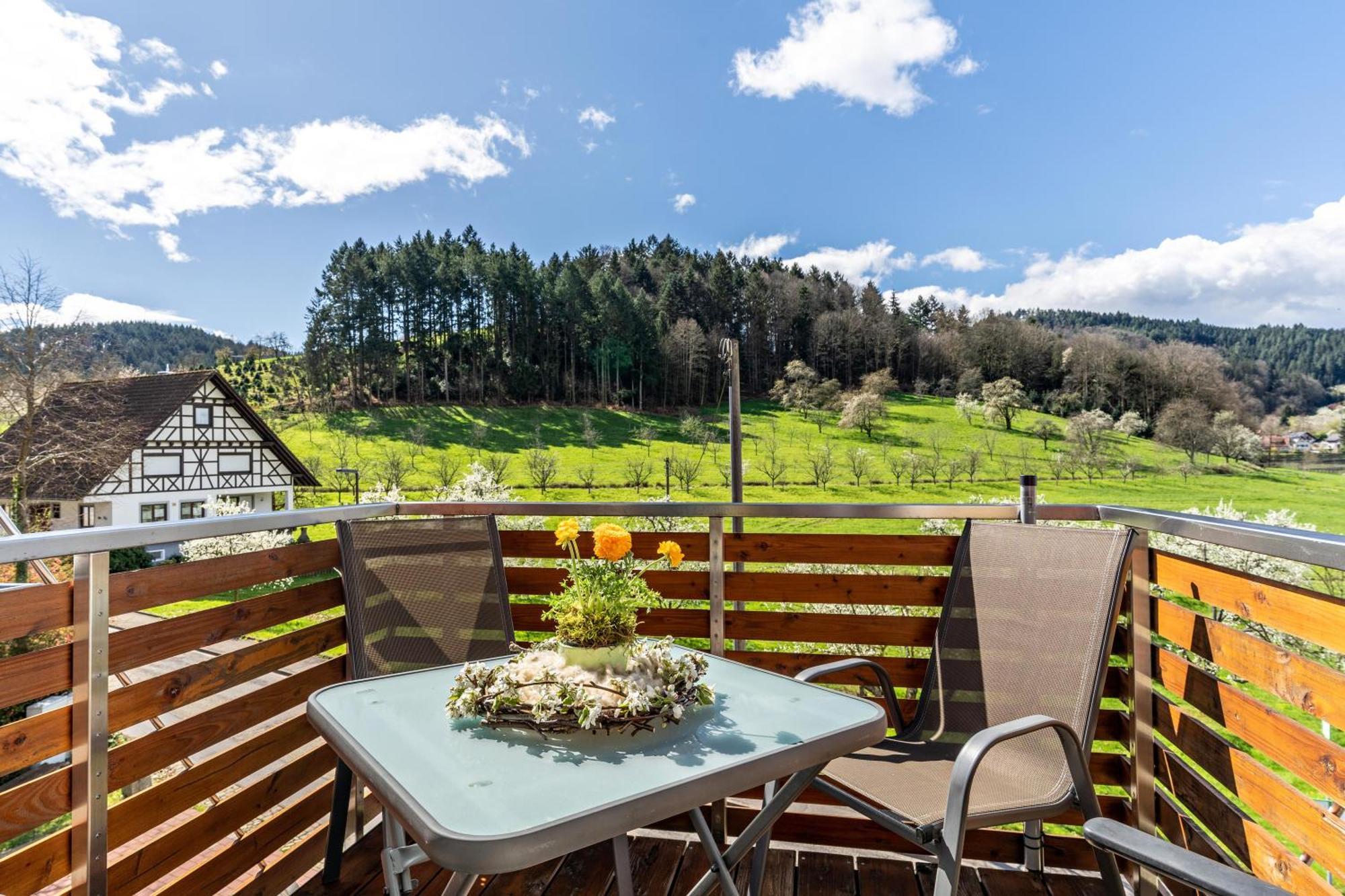 Ferienhof Vordere Alm Oberkirch  Exteriör bild