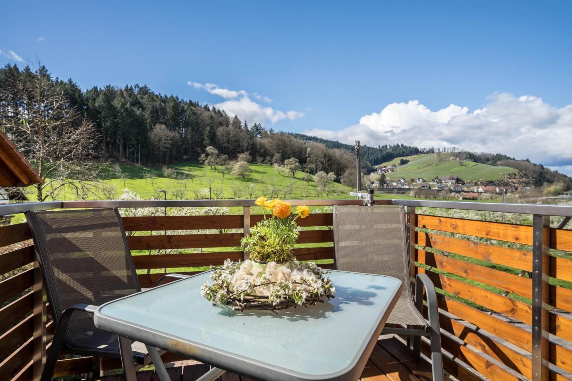Ferienhof Vordere Alm Oberkirch  Exteriör bild