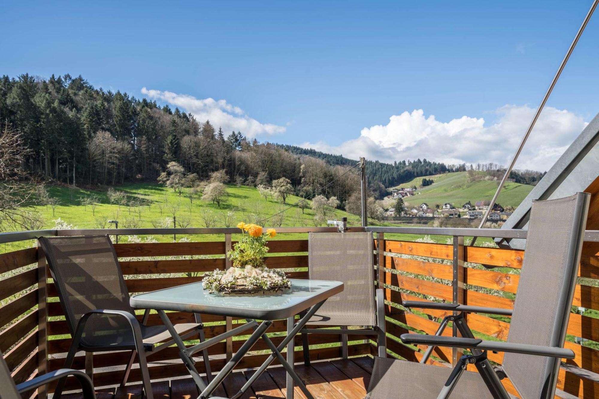 Ferienhof Vordere Alm Oberkirch  Exteriör bild